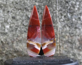 Opalized wood pair
