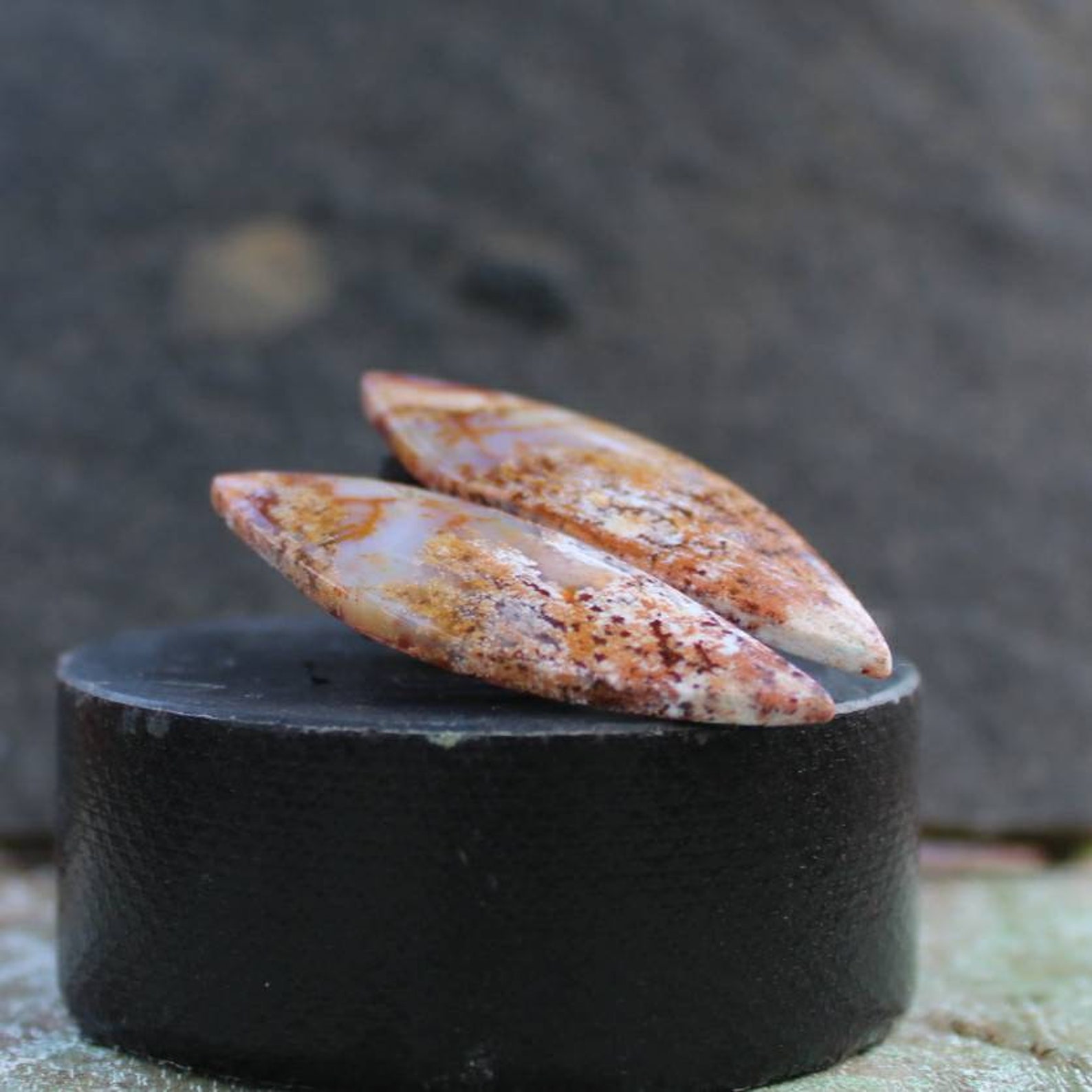 Plume Fossil coral pair Etsy