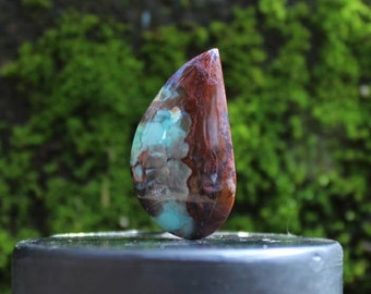 Opalized wood cabochons