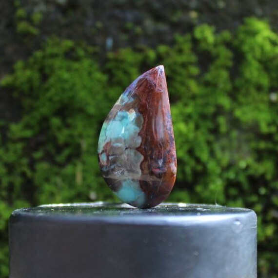 Opalized Wood Cabochons Etsy