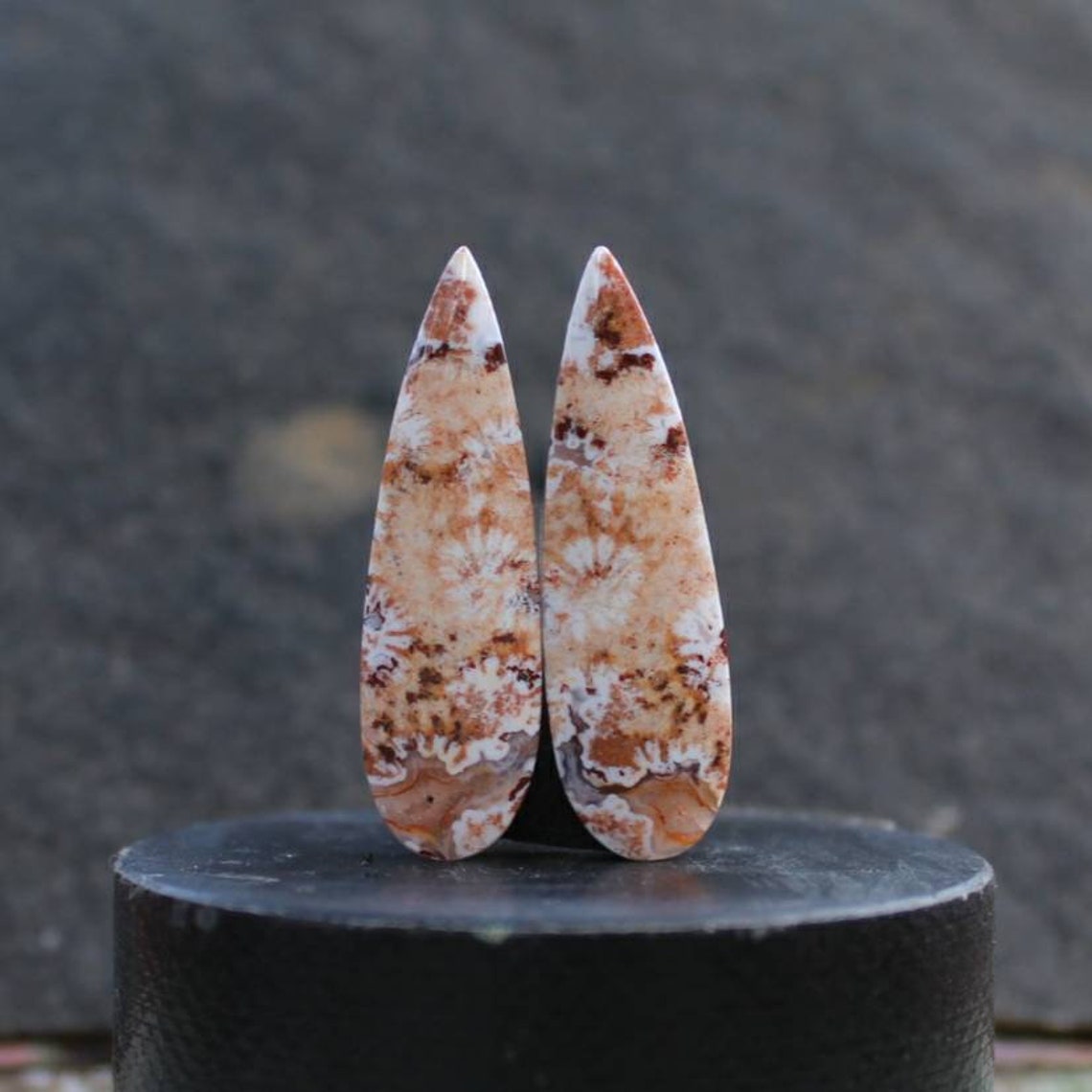 Plume Fossil coral pair Etsy