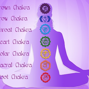 Op de afbeelding: Een paarse silhouet van een persoon die in een yogahouding zit met zeven chakra's die langs de wervelkolom zijn uitgelijnd. De chakra's worden weergegeven door kleurrijke ronde symbolen met Sanskriet-tekens. De chakra's zijn gelabeld met hun namen: Kroon, Voorhoofd, Keel, Hart, Zonnevlecht, Sacraal en Wortel.