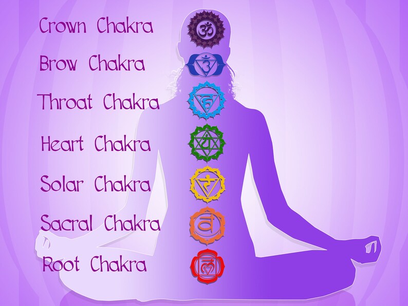 Op de afbeelding: Een paarse silhouet van een persoon die in een yogahouding zit met zeven chakra's die langs de wervelkolom zijn uitgelijnd. De chakra's worden weergegeven door kleurrijke ronde symbolen met Sanskriet-tekens. De chakra's zijn gelabeld met hun namen: Kroon, Voorhoofd, Keel, Hart, Zonnevlecht, Sacraal en Wortel.