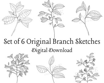 Branch Sketches, Set of 6 | Original Artwork | Neutral Gallery Wall Art | Leaf Drawings | Botanical Prints | Living Room Wall Art | Simple