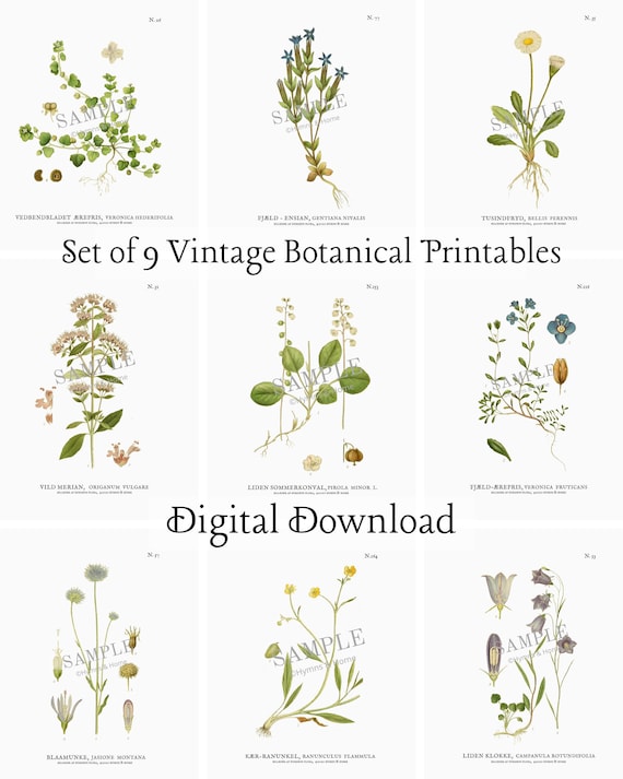 Vintage Botanicals Set of 9 Gallery Wall Art Prints | Etsy
