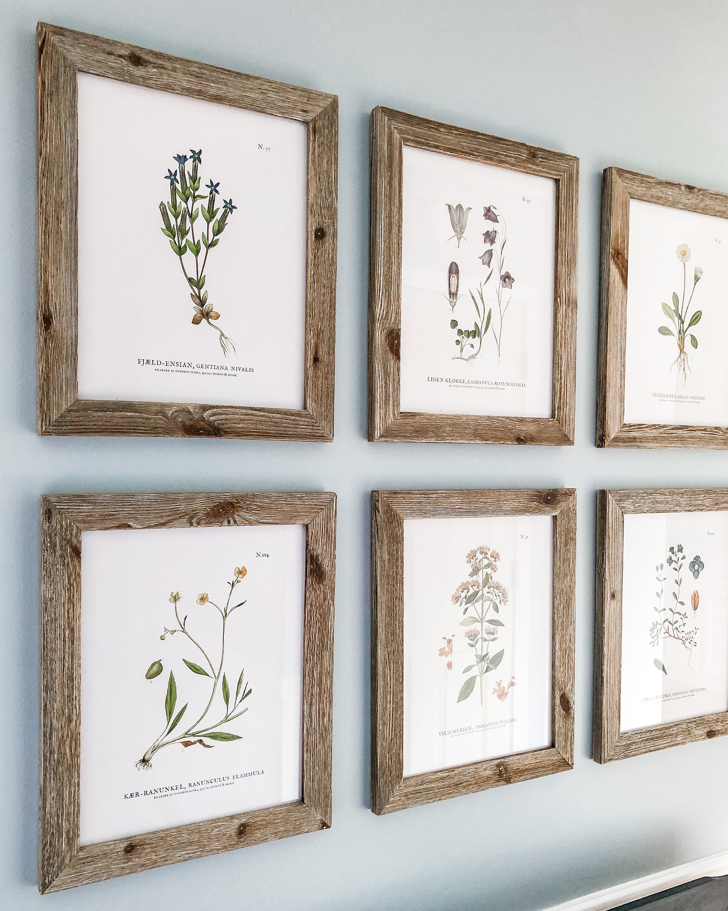 Vintage Botanicals, Set of 9 Gallery Wall Art Prints Encyclopedia Illustrations Living Room Wall ...