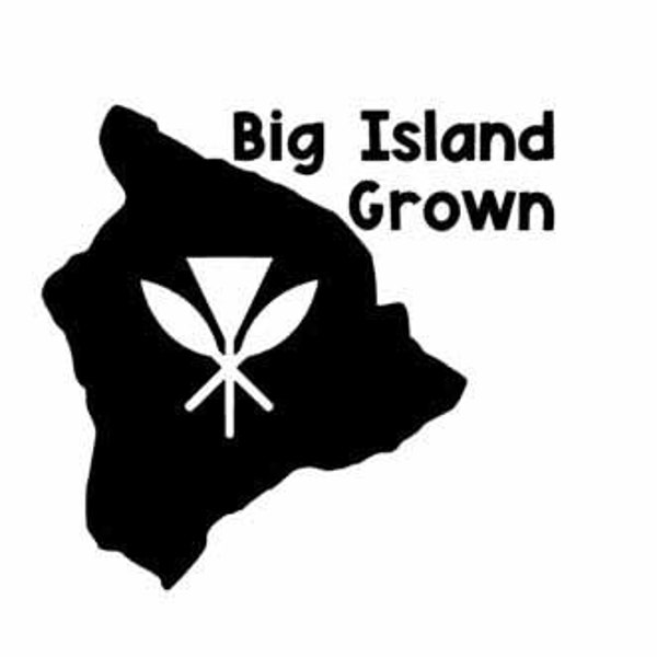 Big Island Grown Permanent Adhesive Vinyl Decal, car window decal, laptop decal, phone decal, hawaii sticker, hawaii island grown sticker,