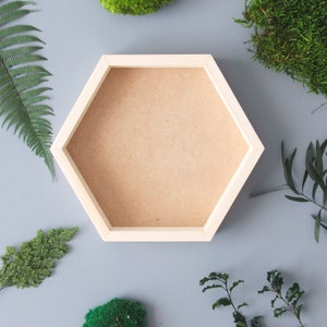 Moss Hexagon Wall with preserved flowers. Nature Room Decor.Gift for women or home. Ready to send. image 4