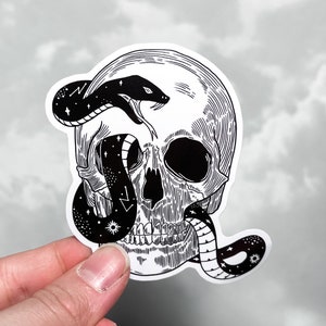Adesivo de vinil de cobra caveira