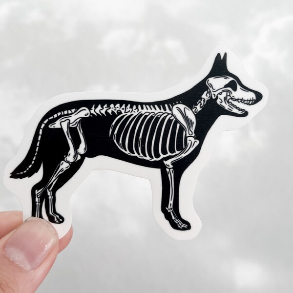 Dog Skeleton Vinyl Sticker