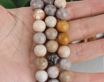 Fossil Coral Round Beads, Multi Color Jade Beads, 4-12mm Craft Supplies, Beading Supplies, DIY Jewelry Making, Loose Beads Strand / STN00126