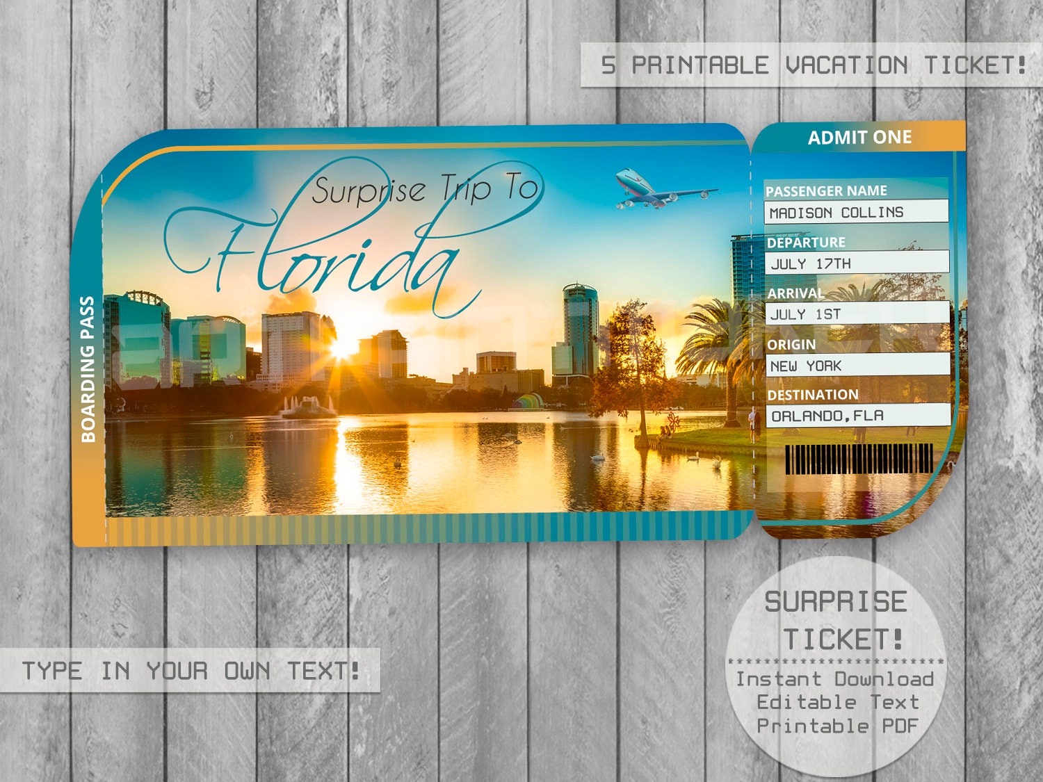 Surprise Trip Florida Printable Ticket Boarding Pass Gift Etsy UK