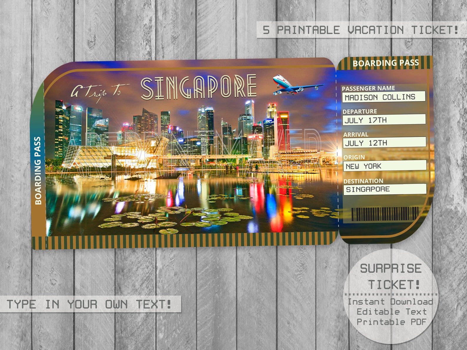 singapore round trip ticket