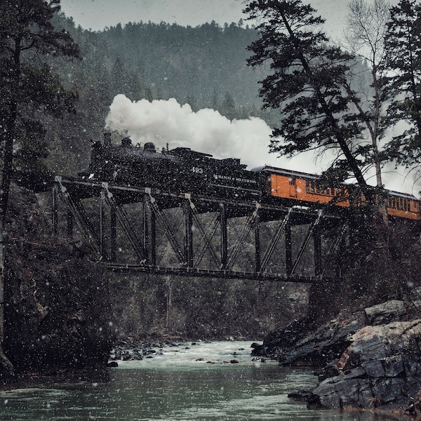 Durango and Silverton - Stormy Forest