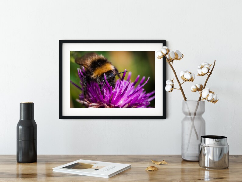 Bee Print Wall Art Collecting Pollen Printable Photos Bee Art Download Printable Art Bee Art Bee Printable Printable Wall Art