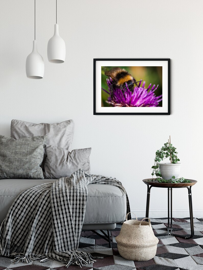 Bee Print Wall Art Collecting Pollen Printable Photos Bee Art Download Printable Art Bee Art Bee Printable Printable Wall Art