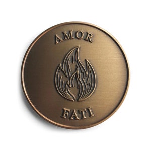 Amor Fati Coin EDC Coin Challenge Coin Stoic Coin Stoicism Stoic Quote Coin Mindfulness Tools Meaningful Christmas Gifts For Him image 7