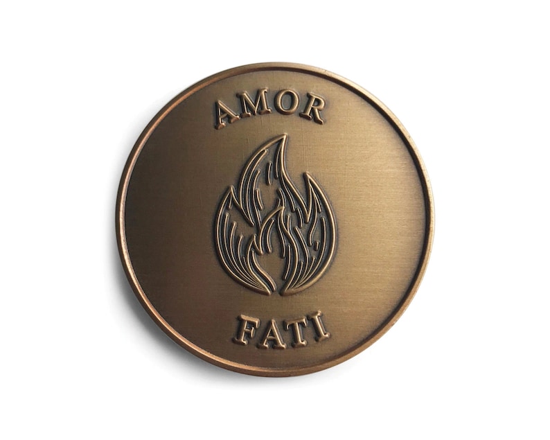 Amor Fati Coin EDC Coin Challenge Coin Stoic Coin Stoicism Stoic Quote Coin Mindfulness Tools Meaningful Christmas Gifts For Him image 7
