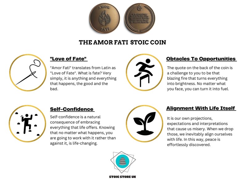 Amor Fati Coin EDC Coin Challenge Coin Stoic Coin Stoicism Stoic Quote Coin Mindfulness Tools Meaningful Christmas Gifts For Him image 9