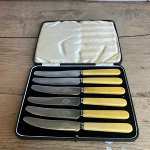 Vintage Boxed Set Of 6 Celluloid Handled Butter Knives. Good Condition