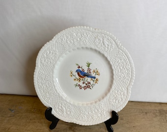 Vintage Royal Cauldon Bristol Ironstone Bird Plate "Eastern Bluebird" - H A Pausch In Good Condition