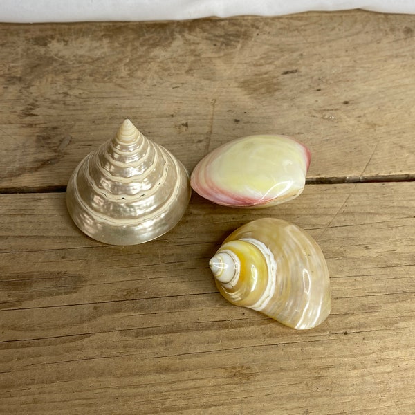 Bathroom Ornament Etsy UK