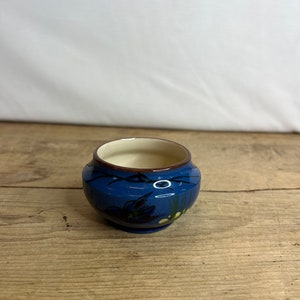 Puede incluir: Un cuenco pequeño y redondo de cerámica azul con interior color crema y borde marrón oscuro. El exterior presenta un diseño floral pintado en tonos verdes y amarillos. El cuenco está sobre una superficie de madera.