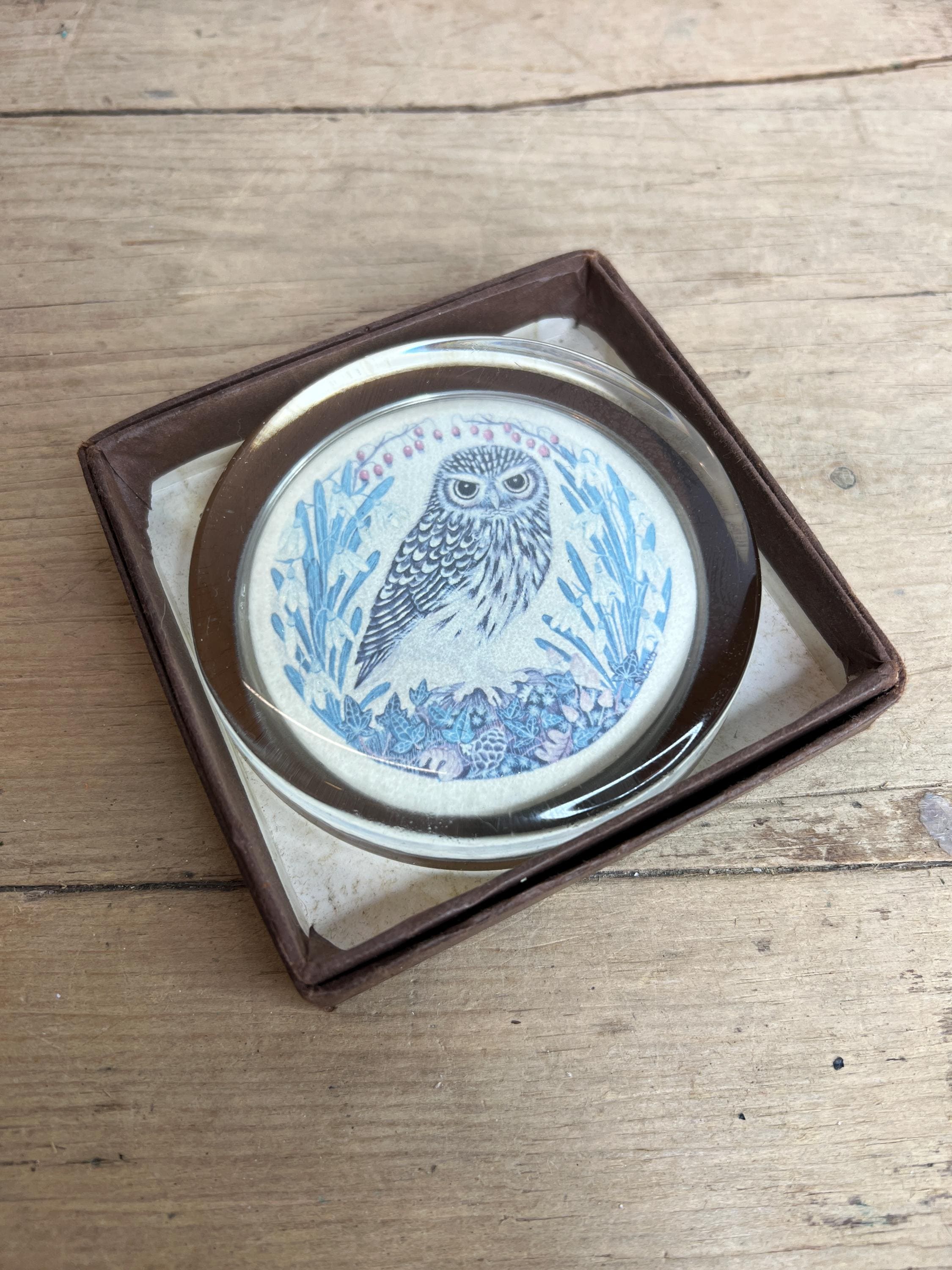 Vintage Boxed Little Owl Paperweight Round Glass with Picture of Owl inside. In good condition
