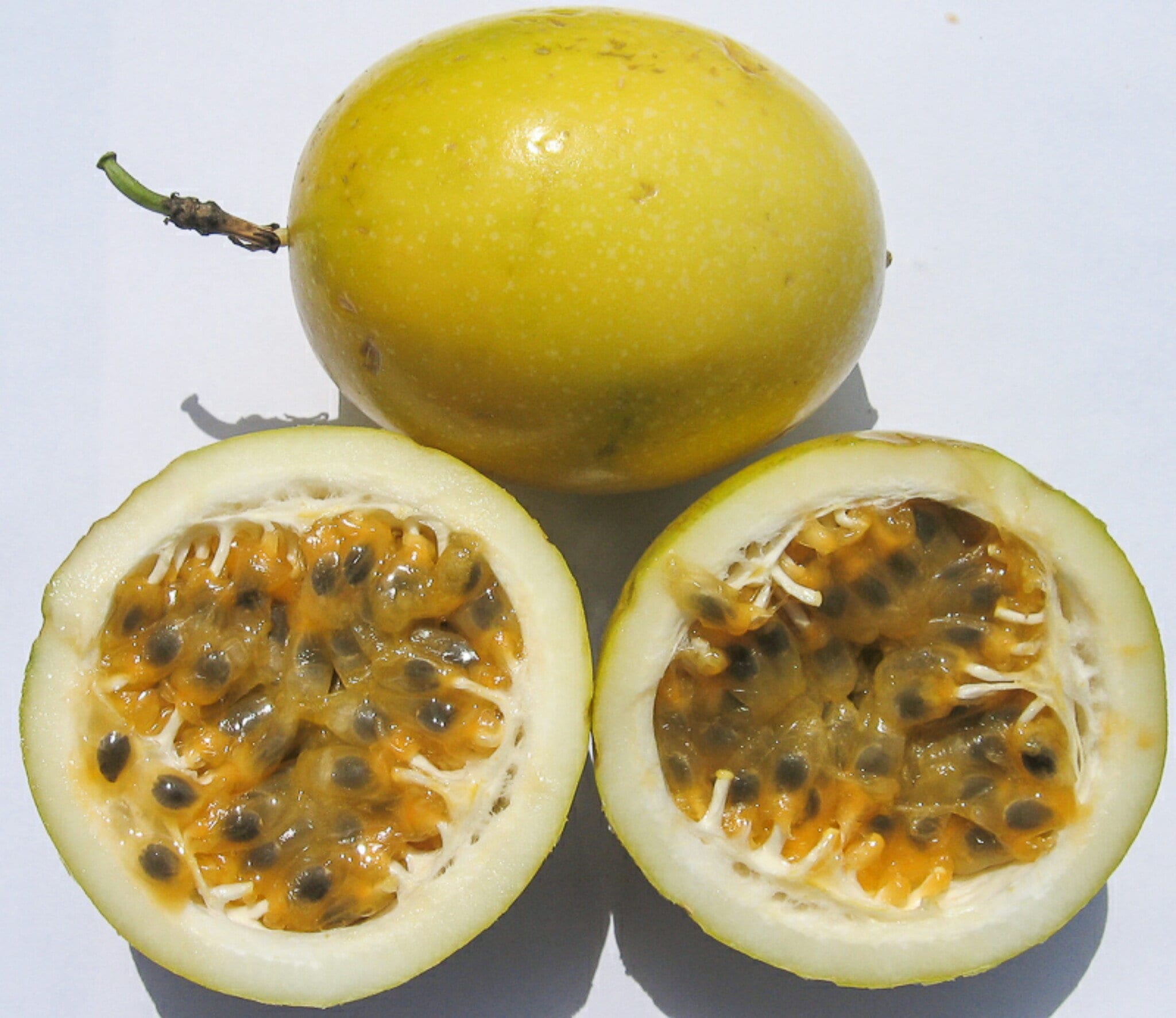 Yellow Passion Fruit Seeds Passiflora Edulisyellow Maracuja Etsy
