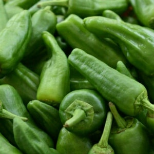 Op de afbeelding: Een close-up van een stapel groene pepers. De pepers zijn allemaal van verschillende grootte en vorm, en sommige zijn licht gerimpeld.