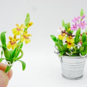1 pc Miniature Oncidium Orchid Dancing-lady (#B) Flower Clay Dollhouse Handmade