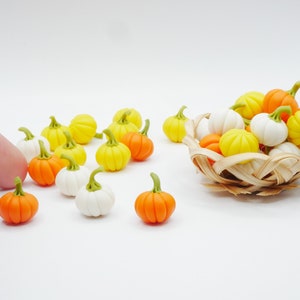 10 miniatyrlerapumpor: Dockhusdekor av frukt (10-13 mm)