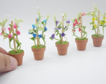 Morning glory flower Clay in Terracotta Pot Miniature Dollhouse Handmade 1/12 doll dolls mini flower flowers clay