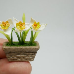 May include: A miniature potted plant with three white flowers with yellow centers. The flowers are in a brown, textured pot.