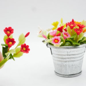 1 pc Miniature Gazania Flower (SS) Clay Dollhouse Handmade Decor 1:12