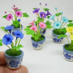 May include: Set of six miniature potted plants with blue and white ceramic pots. Each plant has different colored flowers, including pink, blue, yellow, and purple.