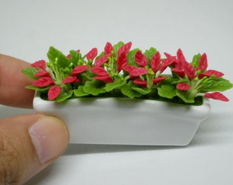 Christmas Plant Clay in rectangular Ceramic Pot Miniature Dollhouse Handmade