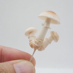 May include: A cluster of three miniature mushrooms with off-white stems and tan caps. The mushrooms are held by a thin metal pin against a plain white background. The caps have a smooth texture.