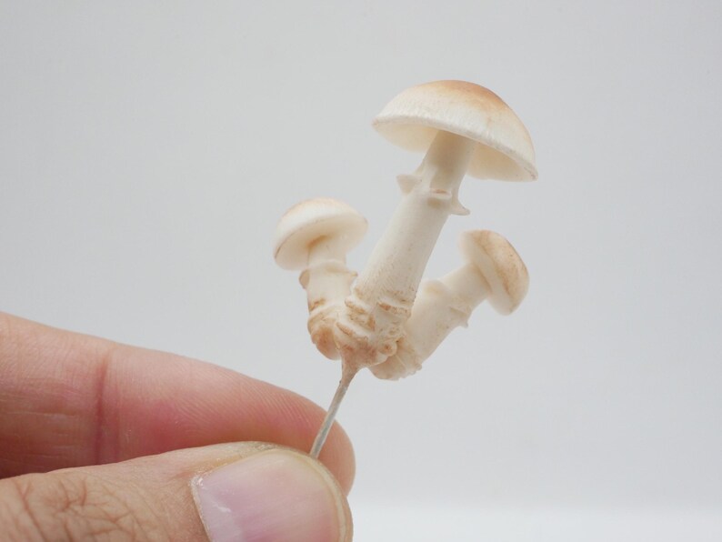 May include: A cluster of three miniature mushrooms with off-white stems and tan caps. The mushrooms are held by a thin metal pin against a plain white background. The caps have a smooth texture.