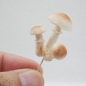 May include: A cluster of miniature mushrooms with light brown caps and white stems. The mushrooms are held by a pin, showcasing their delicate details and naturalistic design. The caps have a subtle gradient of color.