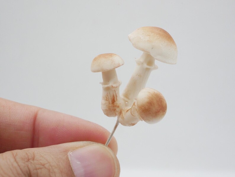 May include: A cluster of miniature mushrooms with light brown caps and white stems. The mushrooms are held by a pin, showcasing their delicate details and naturalistic design. The caps have a subtle gradient of color.