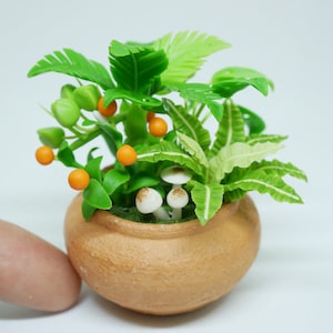 May include: A miniature terracotta pot with a variety of green plants, including ferns and a small tree with orange fruit. There are also white mushrooms growing in the pot.