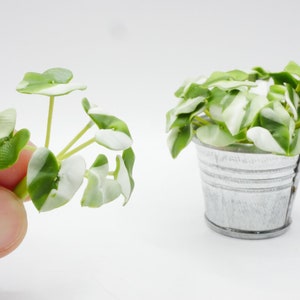 1 pc Miniature Alocasia Odora Variegata Clay Plant Dollhouse Handmade Decor 1:12