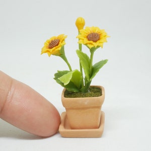 Può includere: Una pianta in vaso in miniatura con tre girasoli gialli e foglie verdi in un vaso di terracotta con un sottovaso abbinato.