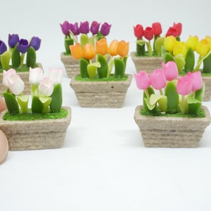 May include: Set of ten miniature potted tulip plants. Each pot is made of a light brown material and features a woven texture. The tulips are made of plastic and come in a variety of colours, including pink, purple, orange, and yellow.