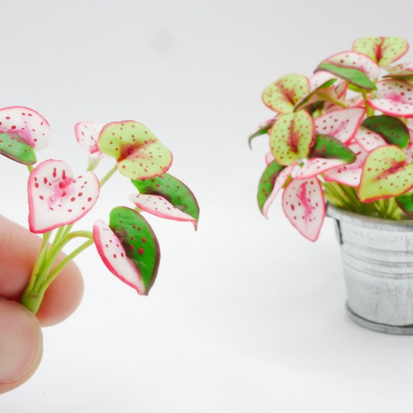 1 pc Miniature Caladium (Type B) Plant Clay Dollhouse Handmade Decoration 1:12