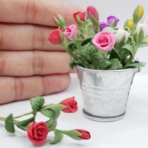 Può includere: Una composizione in miniatura di rose colorate in un piccolo secchio di metallo zincato. Le rose sono in tonalità di rosso, rosa, viola, giallo e bianco, con foglie verdi. Un gambo separato di rose rosse è vicino.