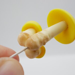 May include: A close-up of three small, mushroom-shaped objects. The mushroom caps are bright yellow, and the stems are off-white with brown accents. The mushrooms are held together by a thin, silver wire against a plain white background.