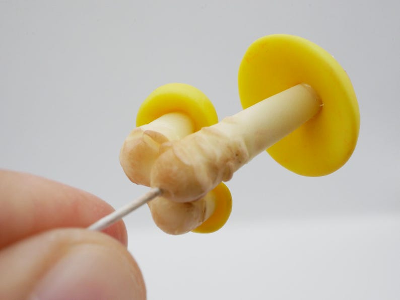 May include: A close-up of three small, mushroom-shaped objects. The mushroom caps are bright yellow, and the stems are off-white with brown accents. The mushrooms are held together by a thin, silver wire against a plain white background.