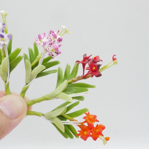 1 pc Miniature Dendrobium orchid (SS) Clay Dollhouse Handmade Decor 1:12 Scale